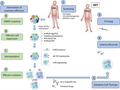 Boosting the Immune System for HIV Cure: A γδ T Cell Perspective